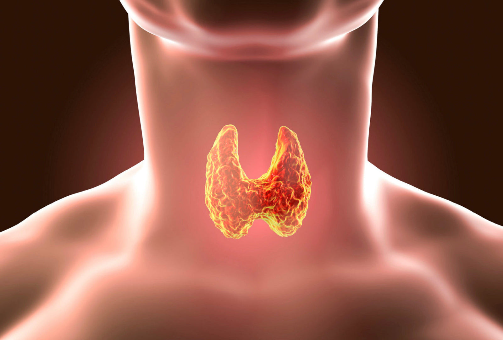 Essential Vitamins and Minerals for Thyroid Health