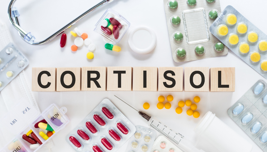 Understanding Adrenal Support: A Solution for High Cortisol and Stress Recovery