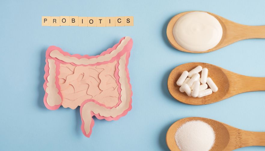 Your Complete Guide to Choosing the Perfect Probiotics
