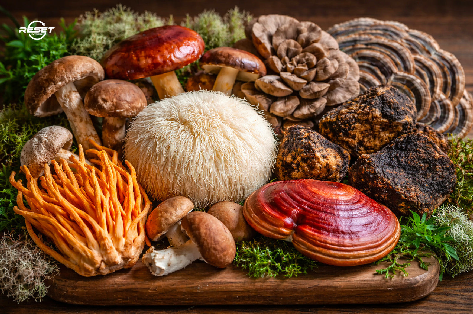 Functional mushrooms in supplements: what they are, what they do, and what science says