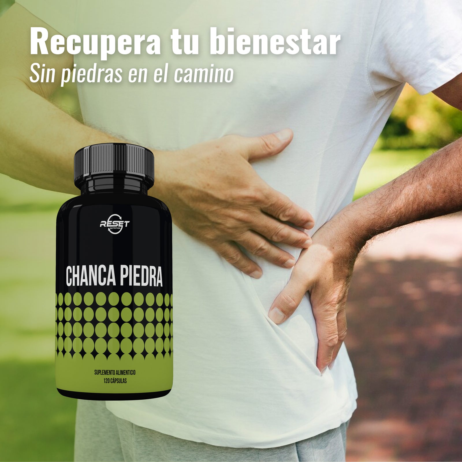 Chanca Piedra | Cálculos renales, desintoxicación, rompe piedras, salud urinaria, protección hepática