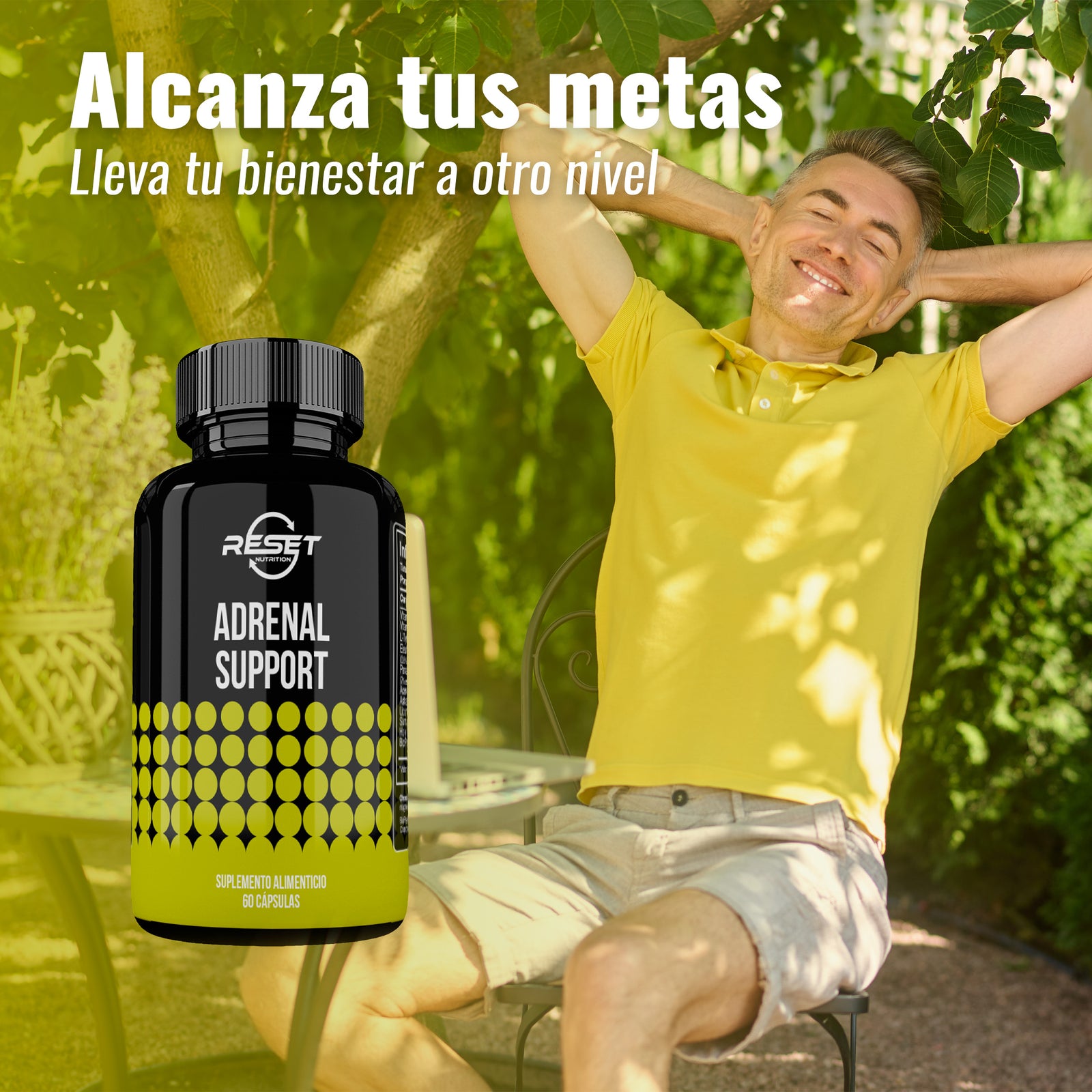 Adrenal Support - 60 capsules with ginseng, licorice, and holy basil - balances blood pressure, reduces stress, and boosts daily energy