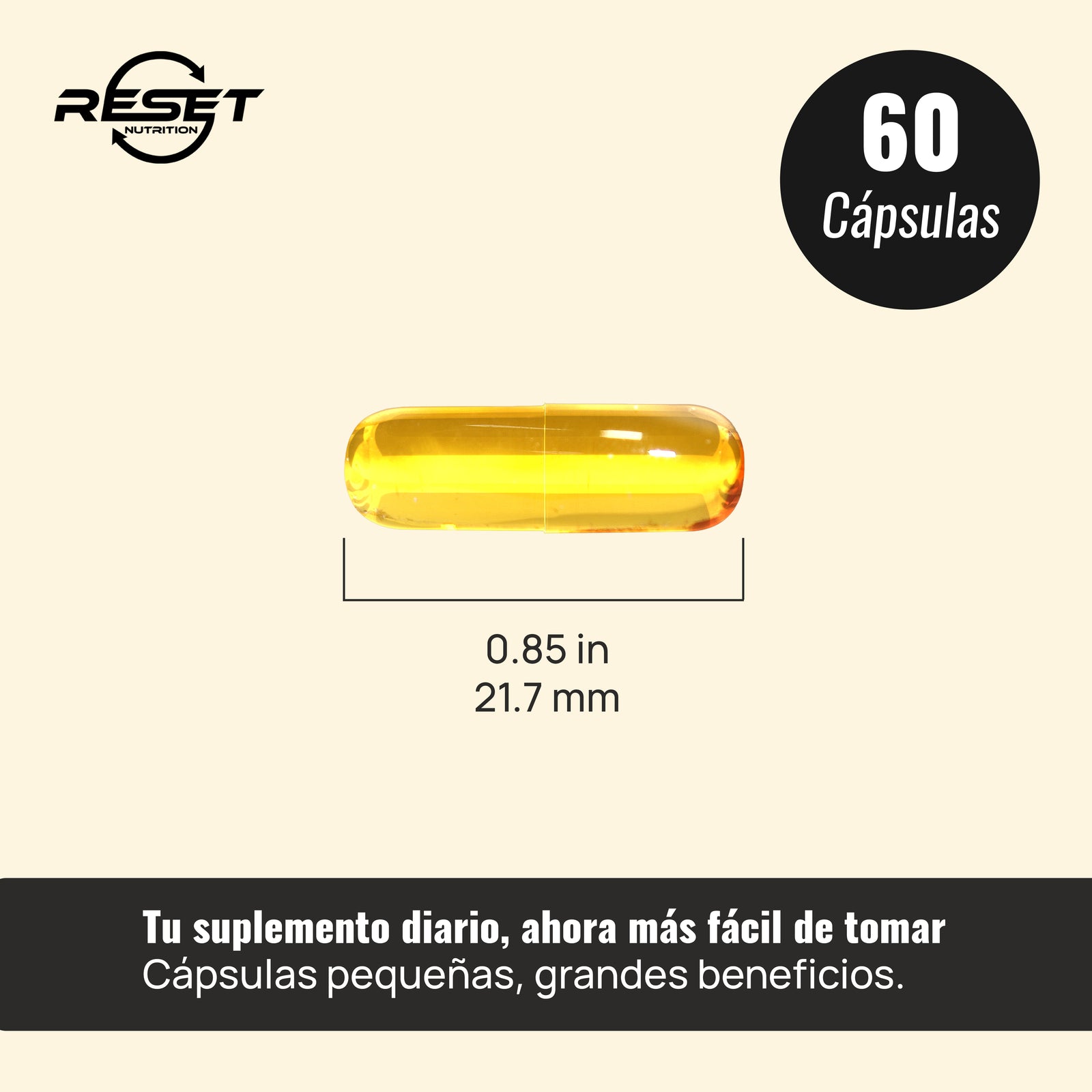 Aceite de Semilla de Comino Negro 500 mg - 60 cápsulas con extracto puro - fortalece la inmunidad y alivia las alergias