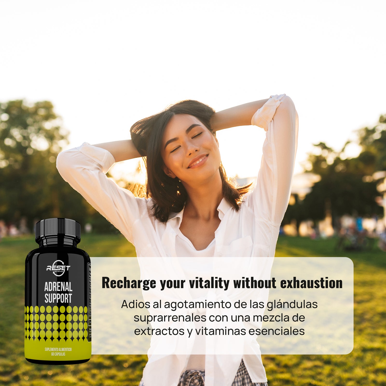 Adrenal Support - 60 capsules with ginseng, licorice, and holy basil - balances blood pressure, reduces stress, and boosts daily energy