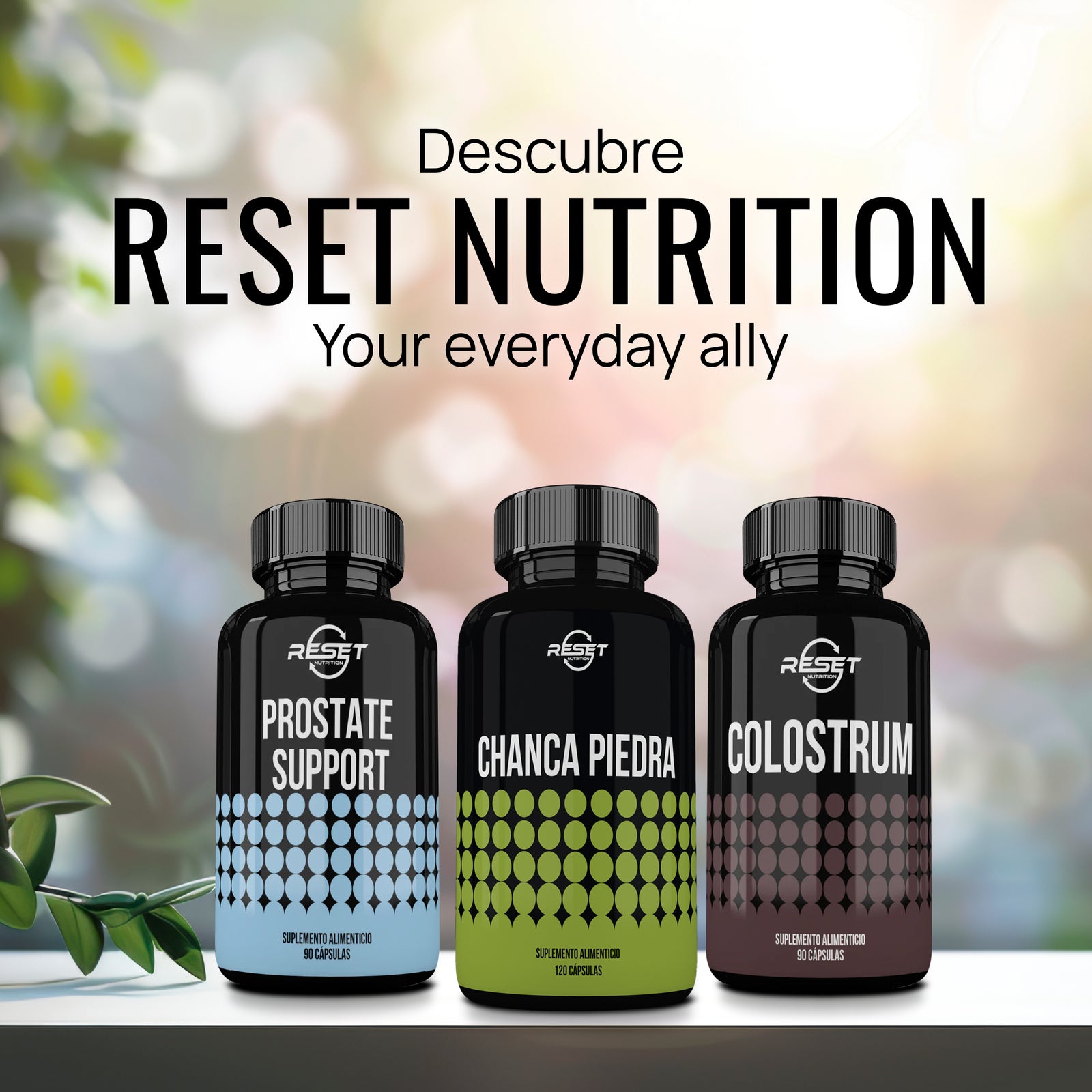 Chanca Piedra | Cálculos renales, desintoxicación, rompe piedras, salud urinaria, protección hepática