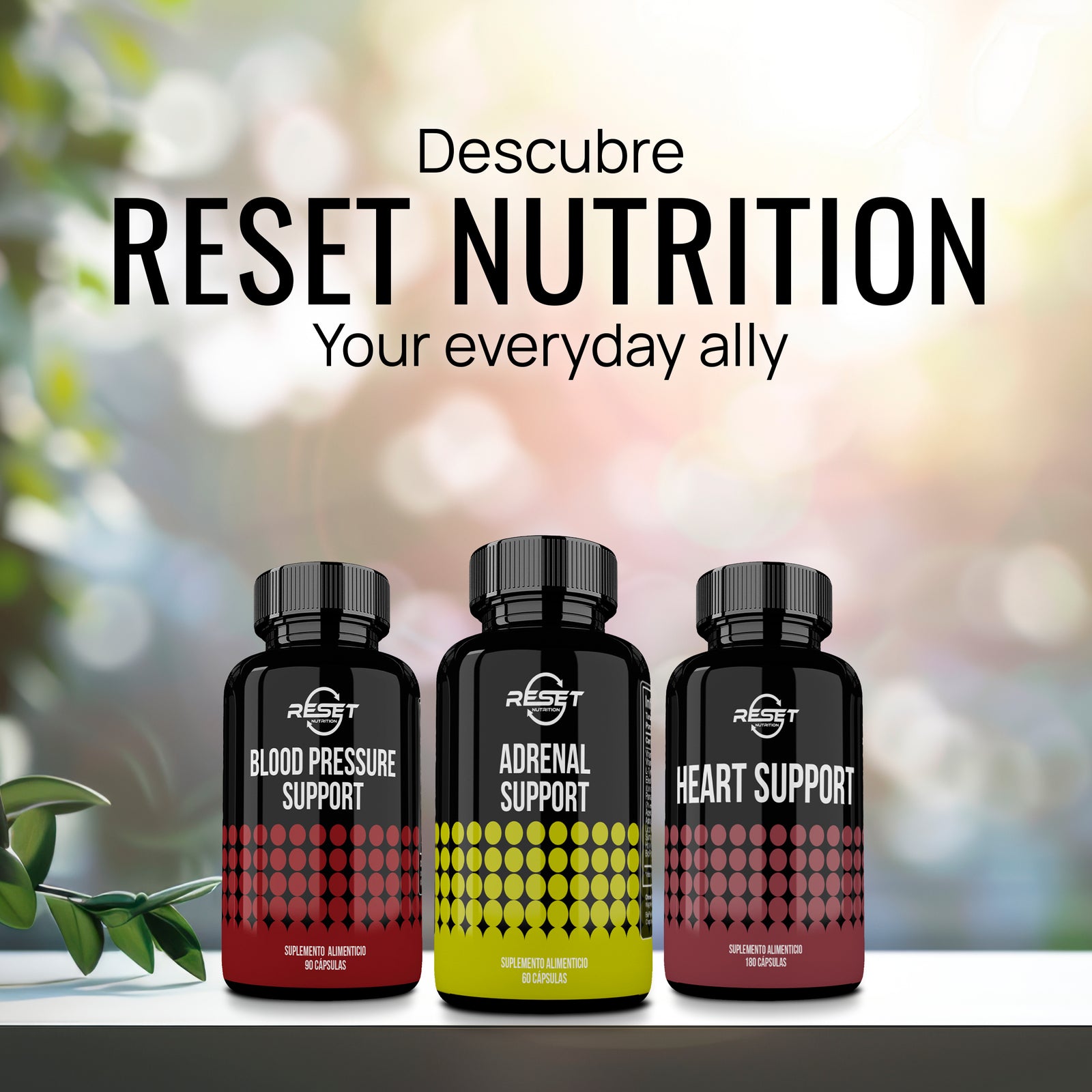 Adrenal Support - 60 capsules with ginseng, licorice, and holy basil - balances blood pressure, reduces stress, and boosts daily energy