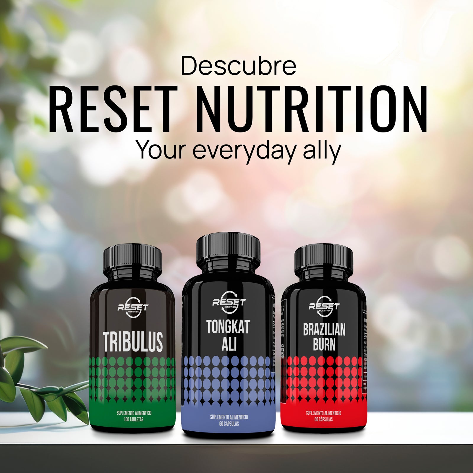 Tongkat Ali 400 mg - 60 cápsulas - aumenta la energía y la resistencia masculina