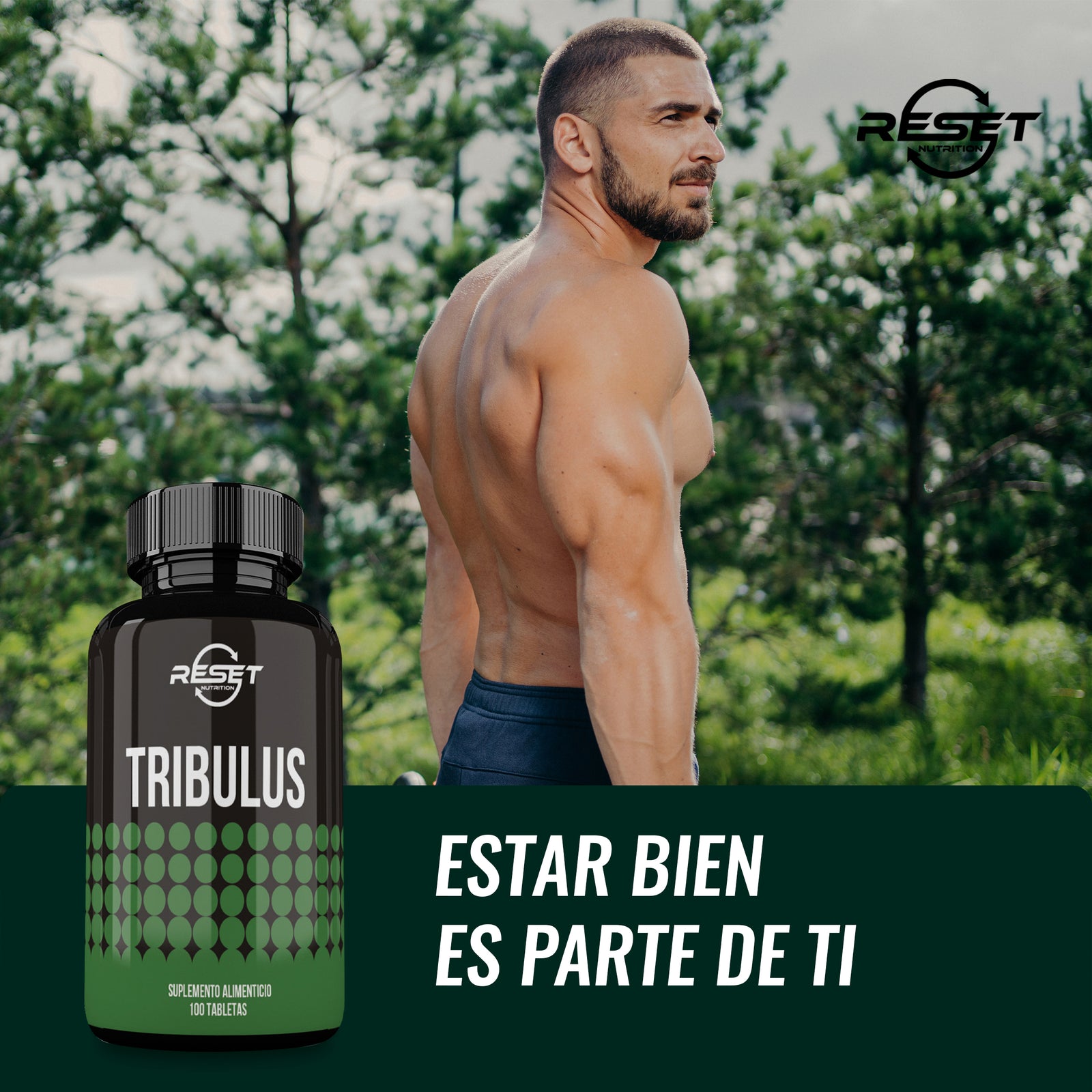 Tribulus - 100 tabletas - soporte para la potencia masculina, energía y rendimiento atlético
