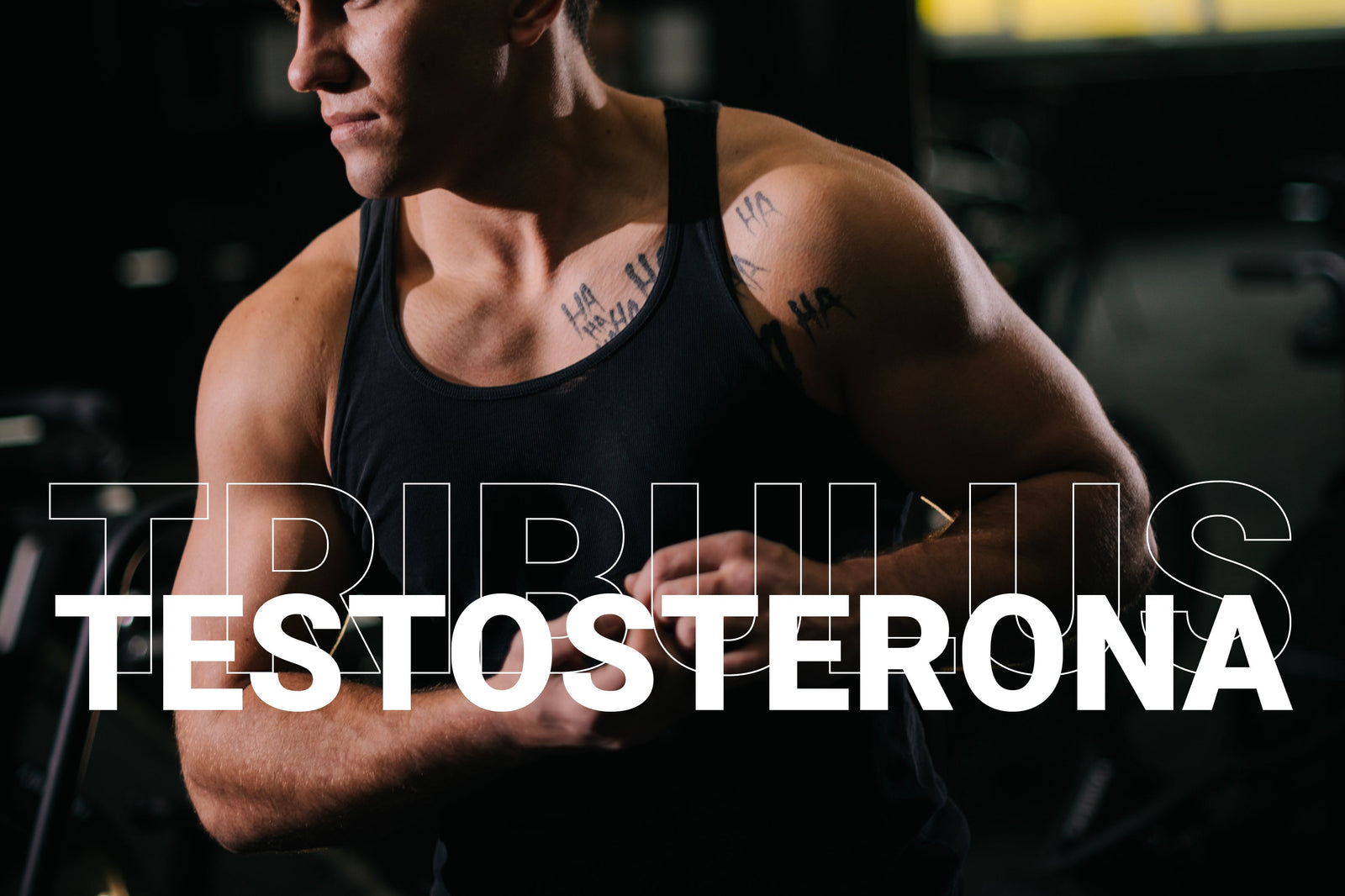 Does Tribulus Really Boost Testosterone? What Science Says and What You Can Actually Expect