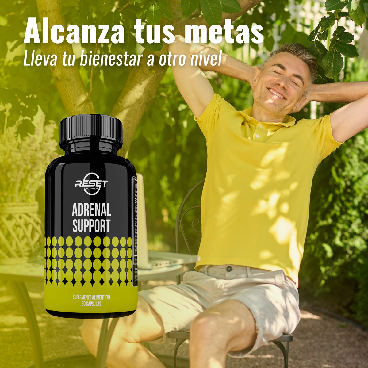 Soporte suprarrenal - 60 cápsulas con ginseng, regaliz y albahaca sagrada - equilibra la presión arterial, reduce el estrés y aumenta la energía diaria