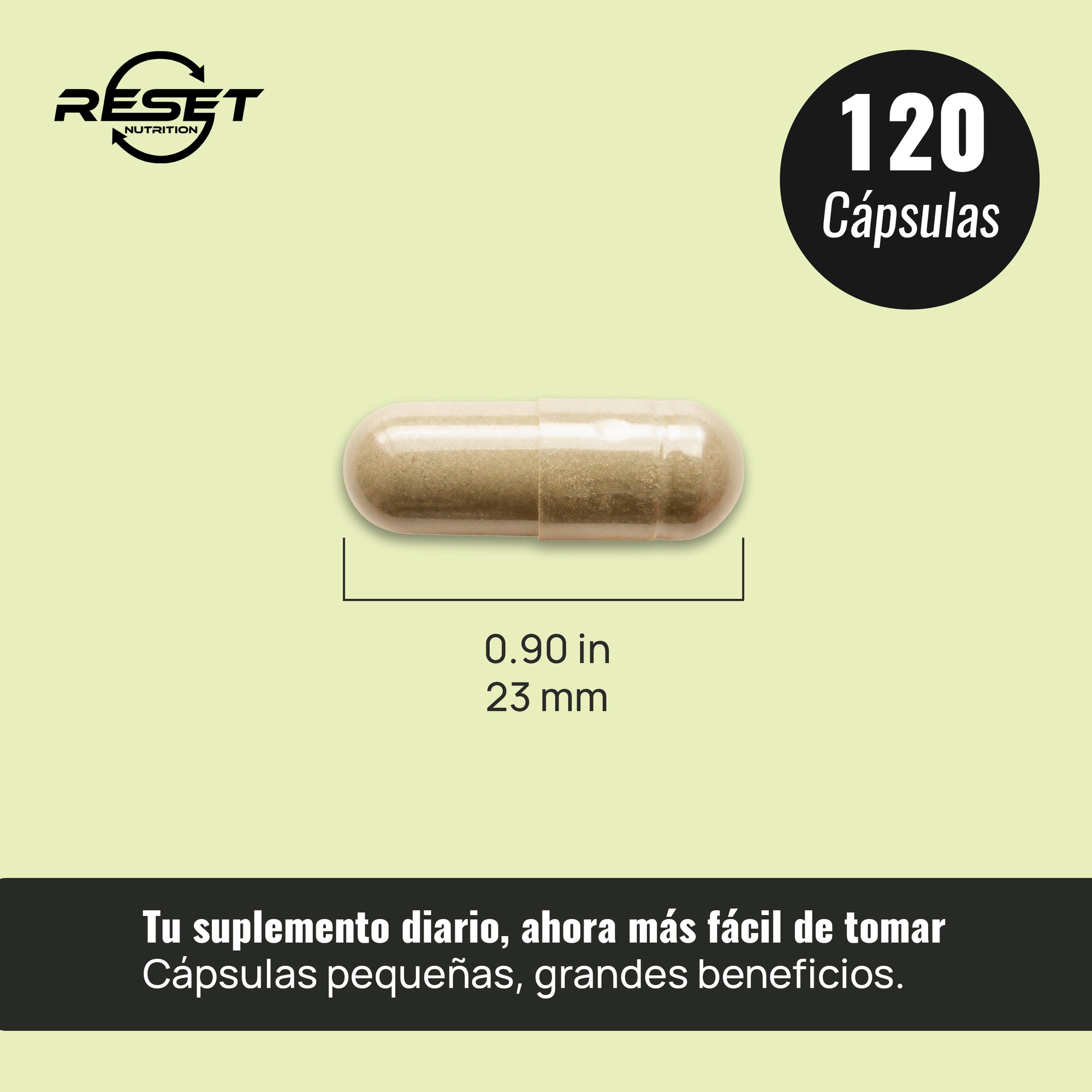 Chanca Piedra | Kidney Stones, Detox, Stone Breaker, Urinary Health, Liver Protection