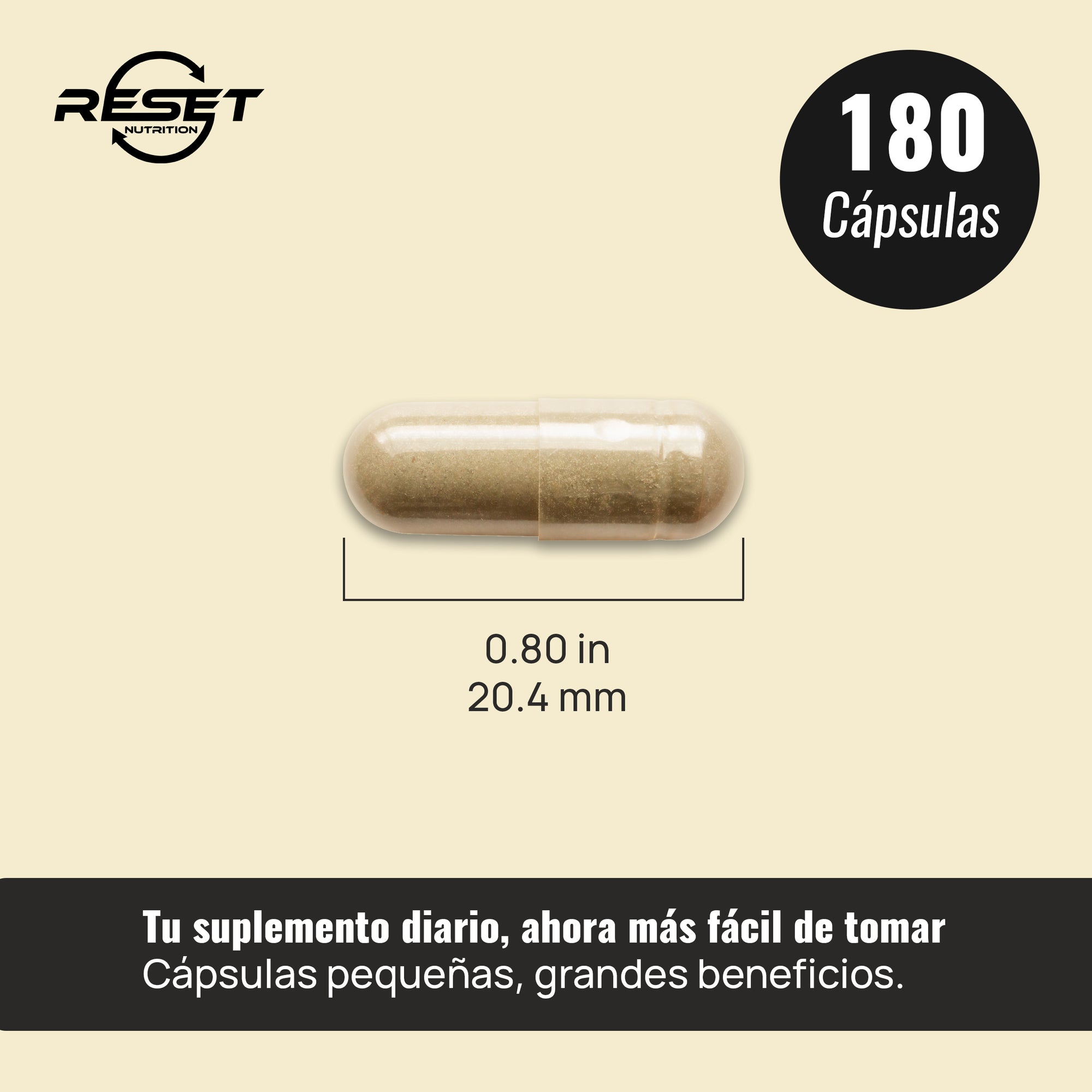 Complejo de Hongos | Hongos Adaptogénicos y Medicinales para Energía, Memoria, Inmunidad y Antioxidantes