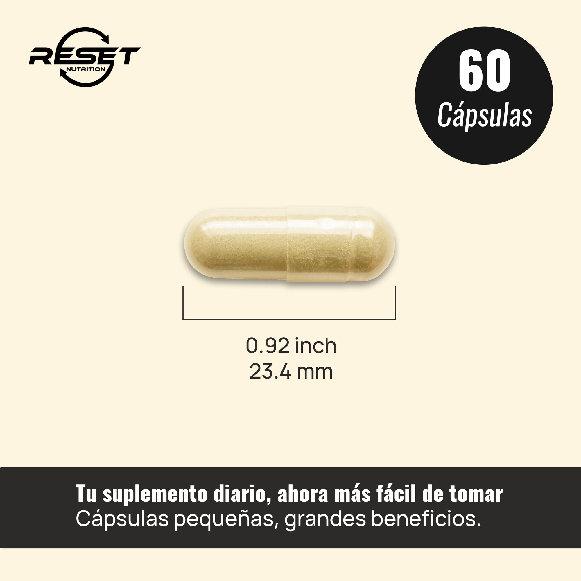 Impulso de Energía - 60 cápsulas con cafeína y açaí - energía y concentración para tu día