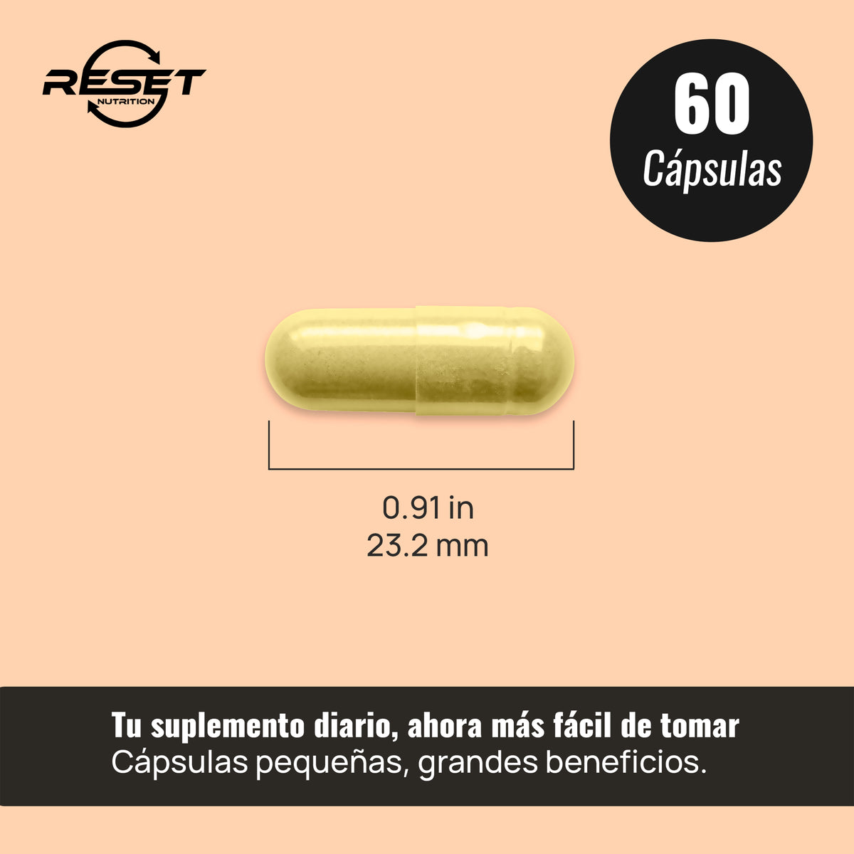 Quercetina y Bromelina 500 mg - 60 cápsulas - apoya la regulación de la presión arterial y el control de la glucosa
