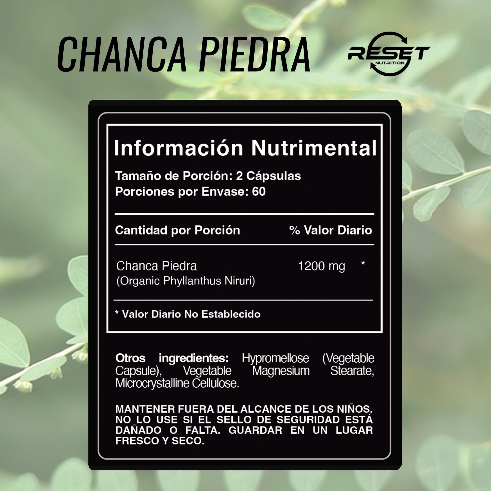 Chanca Piedra | Kidney Stones, Detox, Stone Breaker, Urinary Health, Liver Protection