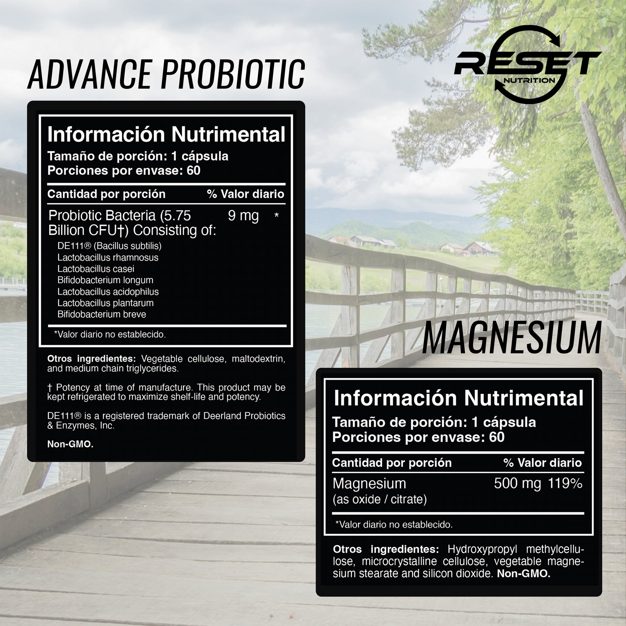 Pro Boost Mag | Magnesio + Probióticos Combo | Salud Digestiva, Energía Natural y Apoyo para el Alivio del Estrés
