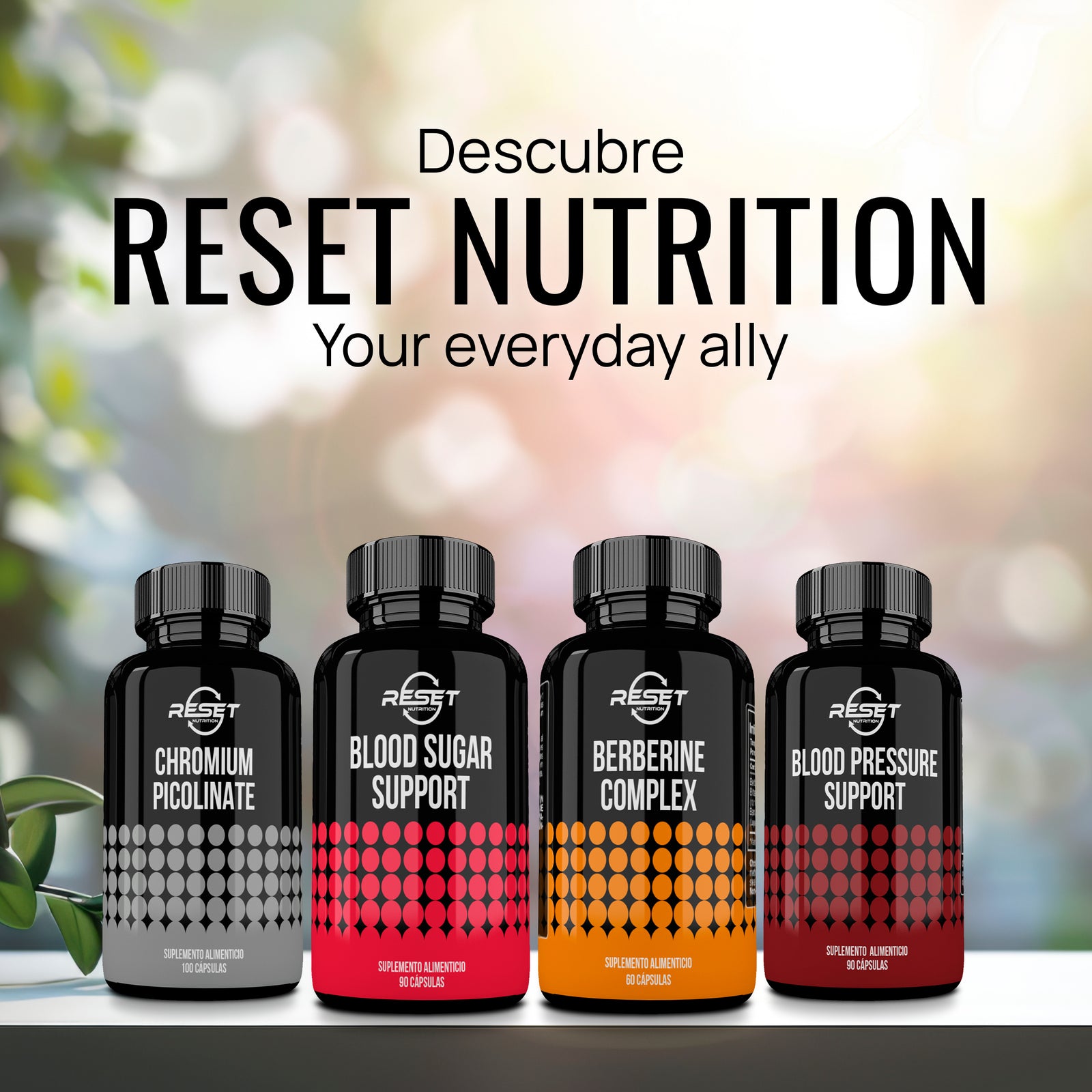 Soporte para el azúcar en la sangre - 90 cápsulas con melón amargo y canela - regula el azúcar en la sangre y apoya la presión arterial