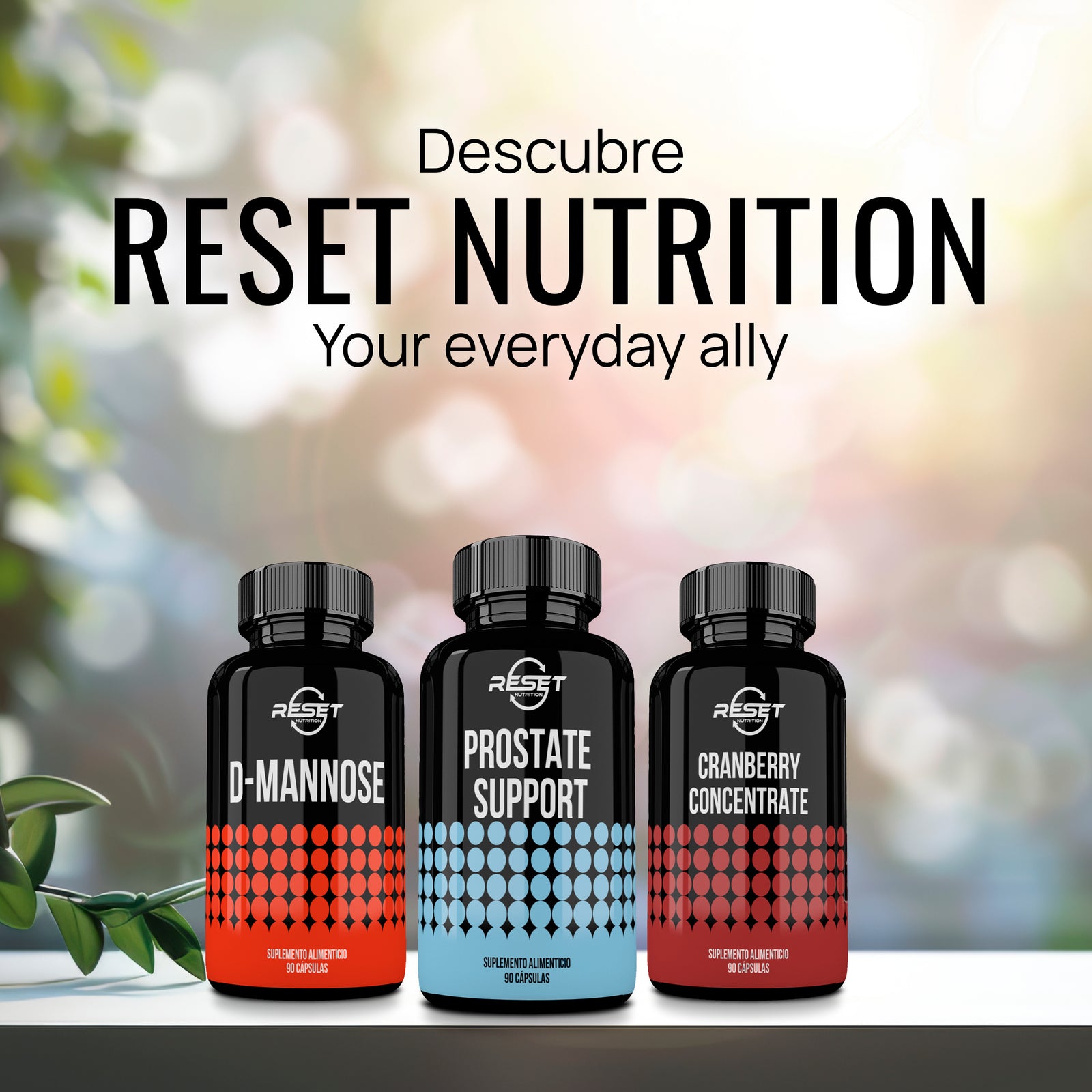 Soporte para la próstata - 90 cápsulas con vitaminas y extractos naturales - apoya la salud de la próstata y urinaria