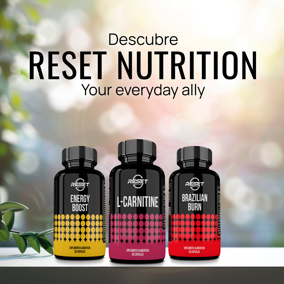 L-Carnitina 500 mg - 60 cápsulas con Omega 3, 6 y 9 - combate la fatiga muscular y aumenta la energía