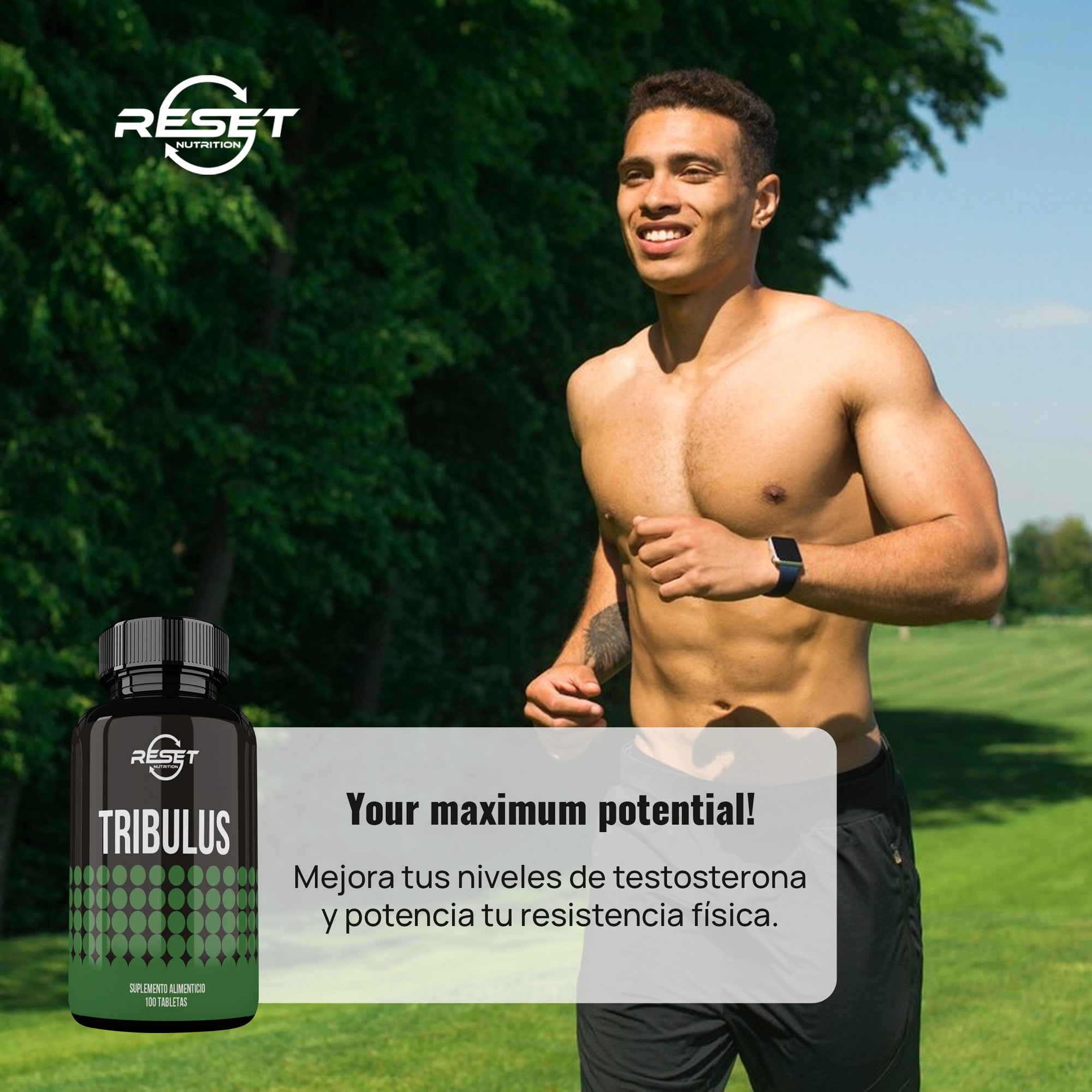 Tribulus - 100 tabletas - soporte para la potencia masculina, energía y rendimiento atlético